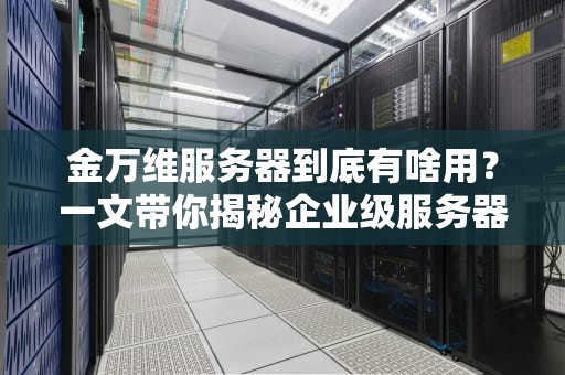 金万维服务器到底有啥用？一文带你揭秘企业级服务器的超能力！