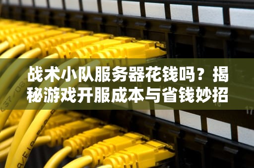 战术小队服务器花钱吗？揭秘游戏开服成本与省钱妙招！