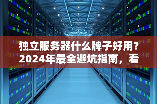 独立服务器什么牌子好用？2024年最全避坑指南，看完秒变老司机！