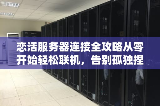 恋活服务器连接全攻略从零开始轻松联机，告别孤独捏脸！
