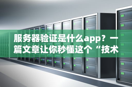 服务器验证是什么app？一篇文章让你秒懂这个“技术安检员”的日常！