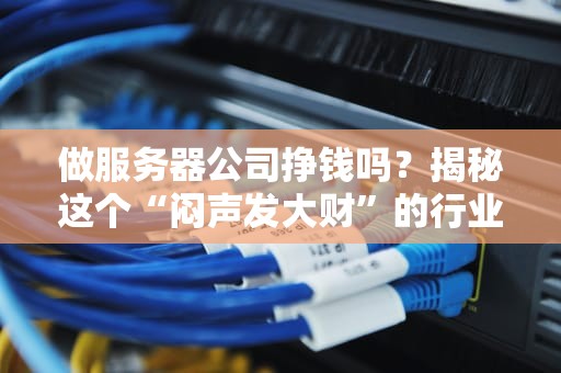 做服务器公司挣钱吗？揭秘这个“闷声发大财”的行业内幕！