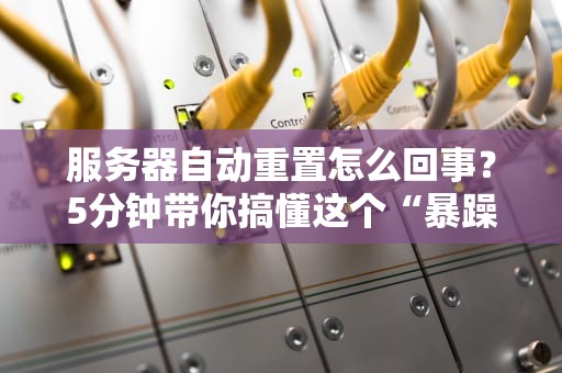 零基础也能玩转！用虚拟主机搭建网站的终极欢乐指南