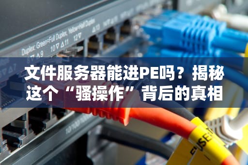 文件服务器能进PE吗？揭秘这个“骚操作”背后的真相！