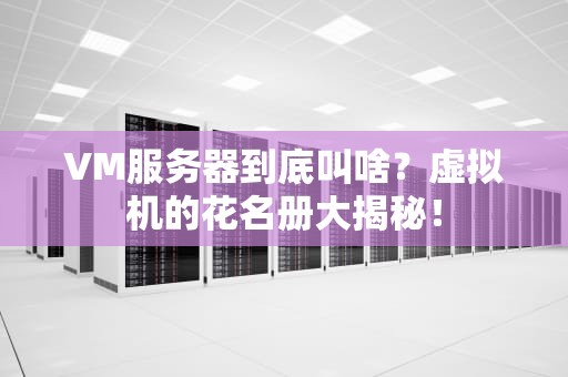 网站服务器选型指南从小霸王到变形金刚的终极对决