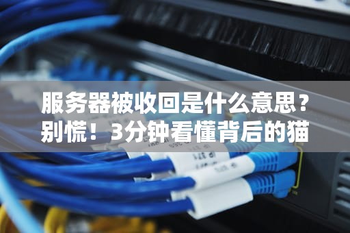 服务器被收回是什么意思？别慌！3分钟看懂背后的猫腻与自救指南