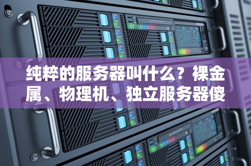 纯粹的服务器叫什么？裸金属、物理机、独立服务器傻傻分不清？一文带你搞懂！