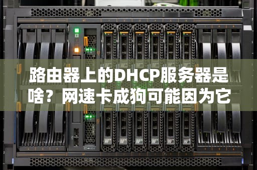 路由器上的DHCP服务器是啥？网速卡成狗可能因为它没吃饱！
