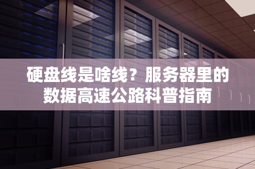 硬盘线是啥线？服务器里的数据高速公路科普指南