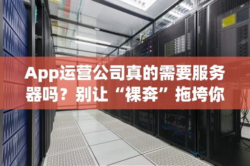 App运营公司真的需要服务器吗？别让“裸奔”拖垮你的百万用户梦！