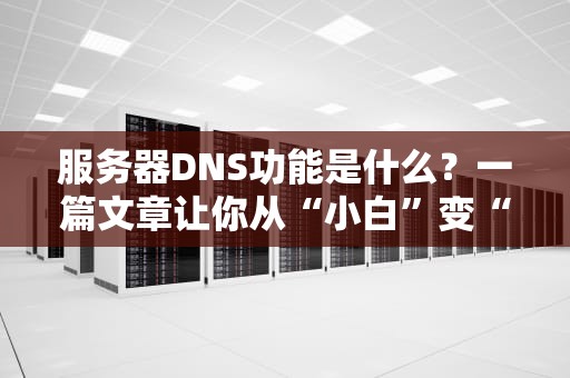 服务器DNS功能是什么？一篇文章让你从“小白”变“大神”！
