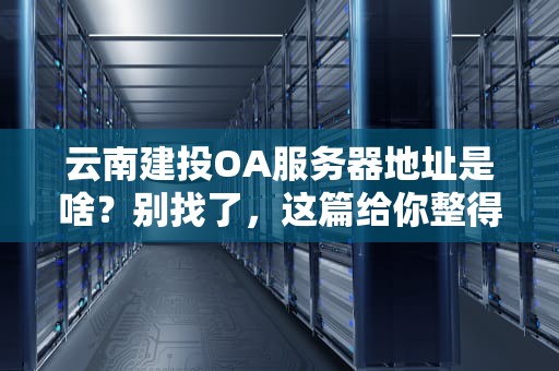 云南建投OA服务器地址是啥？别找了，这篇给你整得明明白白！（附专业测评）