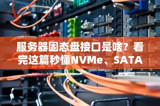 服务器固态盘接口是啥？看完这篇秒懂NVMe、SATA、U2的“爱恨情仇”！