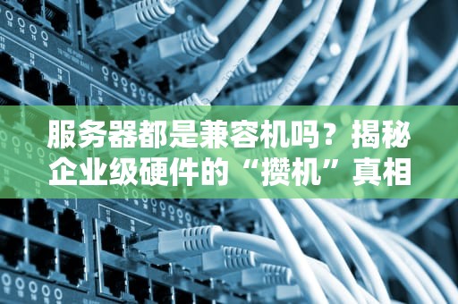 服务器都是兼容机吗？揭秘企业级硬件的“攒机”真相！