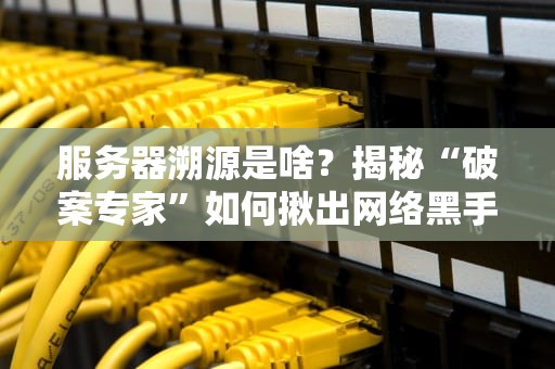 服务器溯源是啥？揭秘“破案专家”如何揪出网络黑手！