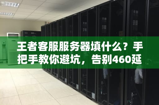 王者客服服务器填什么？手把手教你避坑，告别460延迟！