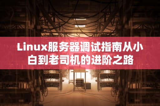 Linux服务器调试指南从小白到老司机的进阶之路
