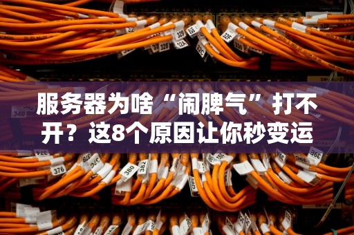 服务器为啥“闹脾气”打不开？这8个原因让你秒变运维老司机！