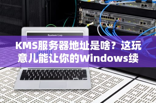 KMS服务器地址是啥？这玩意儿能让你的Windows续杯不花钱！