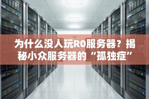 为什么没人玩R0服务器？揭秘小众服务器的“孤独症”
