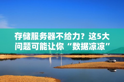 存储服务器不给力？这5大问题可能让你“数据凉凉”！