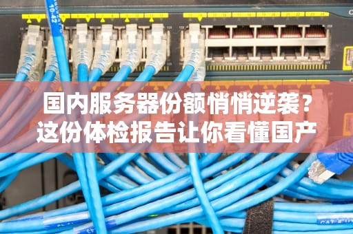国内服务器份额悄悄逆袭？这份体检报告让你看懂国产服务器的肌肉线条！