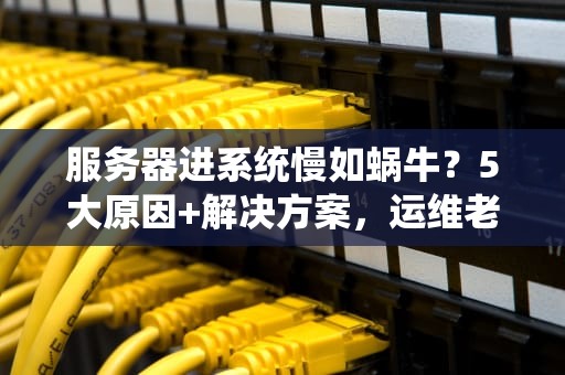 服务器进系统慢如蜗牛？5大原因+解决方案，运维老鸟都收藏了！