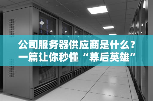 公司服务器供应商是什么？一篇让你秒懂“幕后英雄”的趣味指南！