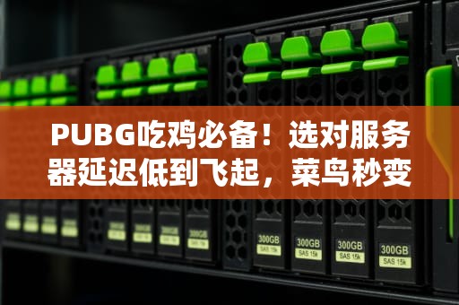 PUBG吃鸡必备！选对服务器延迟低到飞起，菜鸟秒变战神