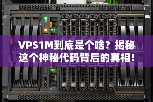VPS1M到底是个啥？揭秘这个神秘代码背后的真相！
