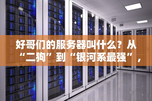 好哥们的服务器叫什么？从“二狗”到“银河系最强”，盘点那些让人笑出腹肌的服务器命名玄学！