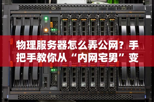 物理服务器怎么弄公网？手把手教你从“内网宅男”变“公网浪子”！