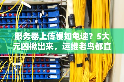 中国为啥造不出自己的根服务器？技术宅的硬核科普来了！