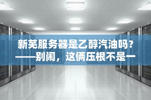 新芜服务器是乙醇汽油吗？——别闹，这俩压根不是一回事！