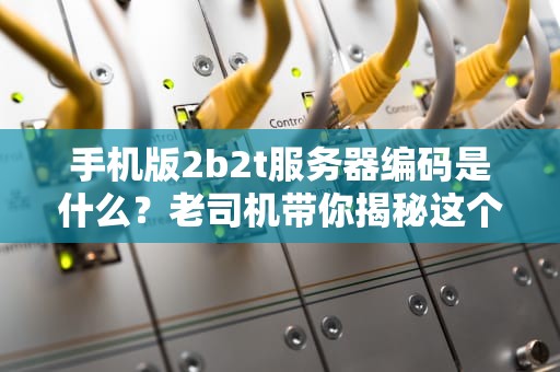 手机版2b2t服务器编码是什么？老司机带你揭秘这个混沌之地的科技内幕！