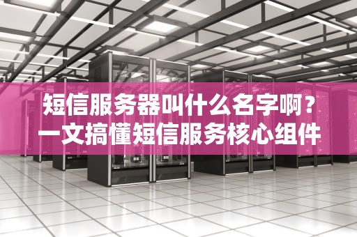 服务器连接域名是什么？搞懂这个，你也能当网站包工头！