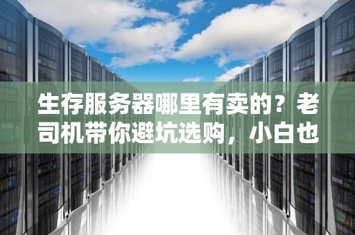 生存服务器哪里有卖的？老司机带你避坑选购，小白也能秒懂！