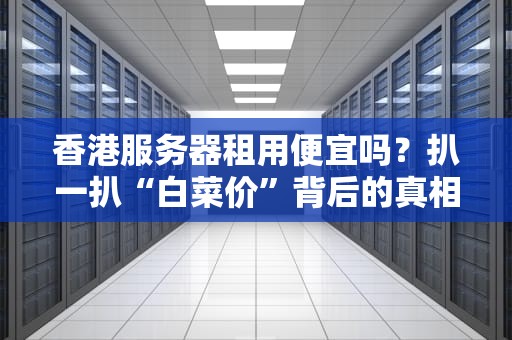 香港服务器租用便宜吗？扒一扒“白菜价”背后的真相！