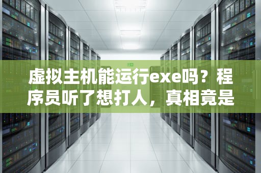 虚拟主机能运行exe吗？程序员听了想打人，真相竟是