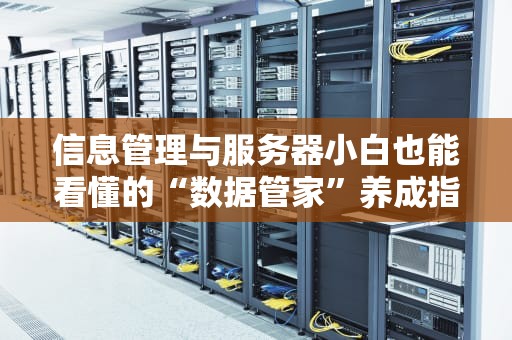 信息管理与服务器小白也能看懂的“数据管家”养成指南