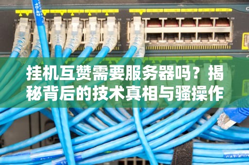 挂机互赞需要服务器吗？揭秘背后的技术真相与骚操作！