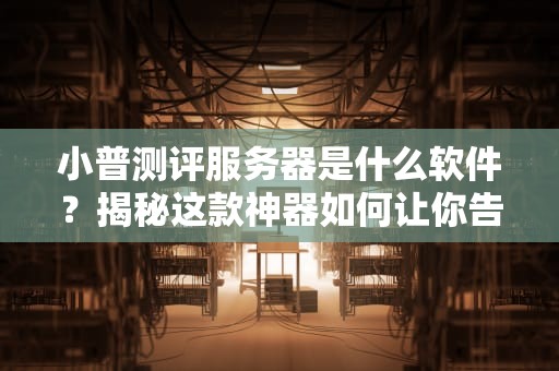 小普测评服务器是什么软件？揭秘这款神器如何让你告别卡顿！