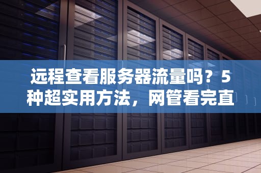远程查看服务器流量吗？5种超实用方法，网管看完直呼内行！