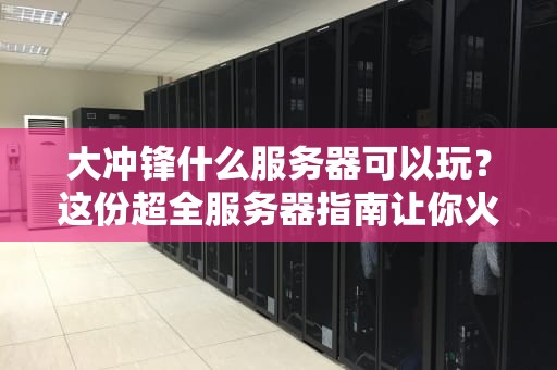 大冲锋什么服务器可以玩？这份超全服务器指南让你火力全开！
