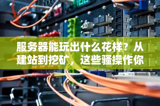 服务器能玩出什么花样？从建站到挖矿，这些骚操作你试过几个？