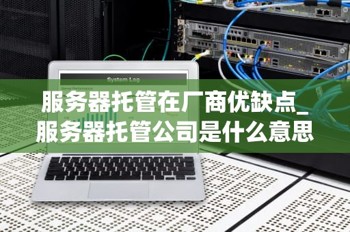 服务器托管在厂商优缺点_服务器托管公司是什么意思_服务器托管在厂商的优缺点分析