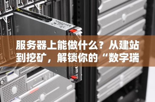 服务器上能做什么？从建站到挖矿，解锁你的“数字瑞士军刀”