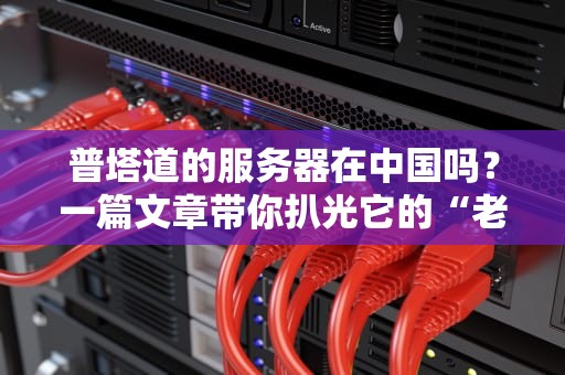 普塔道的服务器在中国吗？一篇文章带你扒光它的“老底”！