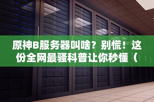 原神B服务器叫啥？别慌！这份全网最骚科普让你秒懂（附专业测评）
