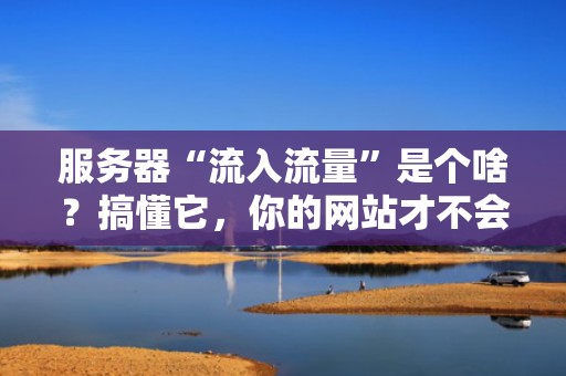 服务器“流入流量”是个啥？搞懂它，你的网站才不会“堵车”！（附专业测评案例）